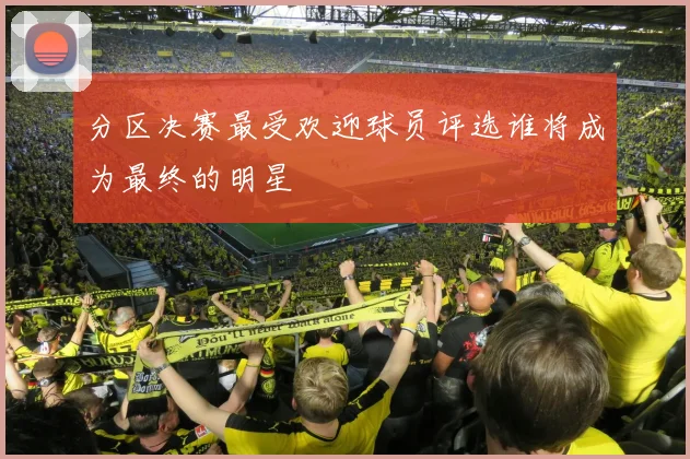 分区决赛最受欢迎球员评选谁将成为最终的明星