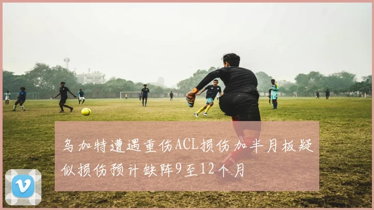 乌加特遭遇重伤ACL损伤加半月板疑似损伤预计缺阵9至12个月