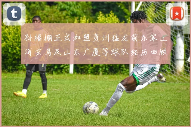 孙椿棚正式加盟贵州猛龙前东家上海玄鸟及山东广厦等球队经历回顾